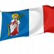 Flag of Tyczyn, Patriotic Flags, Unique Design Print, Flags for Indoor & Outdoor Use - Imagine 1