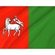 Flag of Urzedow, Patriotic Flags, Unique Design Print, Flags for Indoor & Outdoor Use - Imagine 2