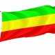 Flag of Witnica, Patriotic Flags, Unique Design Print, Flags for Indoor & Outdoor Use - Imagine 1