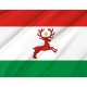 Flag of Wyrzysk, Patriotic Flags, Unique Design Print, Flags for Indoor & Outdoor Use - Imagine 2