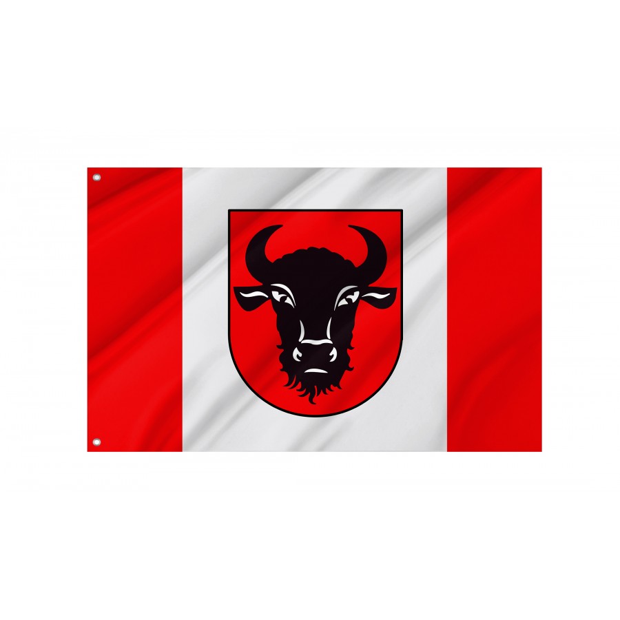 Flag Of Zambrow, Patriotic Flags, Unique Design Print, Flags For Indoor & Outdoor Use - High Quality Poland for Indoor and Outdoor Use