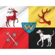 Flag of Zary, Patriotic Flags, Unique Design Print, Flags for Indoor & Outdoor Use - Imagine 2