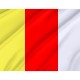 Flag of Zdzieszowice, Patriotic Flags, Unique Design Print, Flags for Indoor & Outdoor Use - Imagine 2