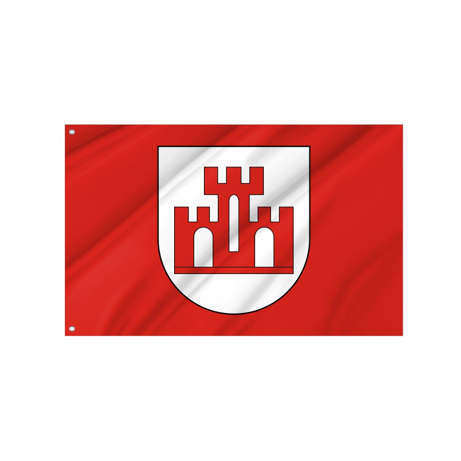 Flag Of Zychlin, Patriotic Flags, Unique Design Print, Flags For Indoor & Outdoor Use - High Quality Poland for Indoor and Outdoor Use