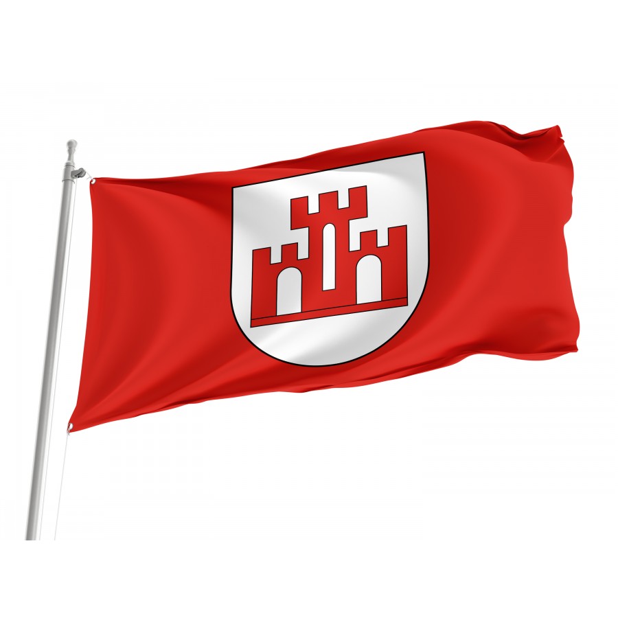 Flag Of Zychlin, Patriotic Flags, Unique Design Print, Flags For Indoor & Outdoor Use - High Quality Poland for Indoor and Outdoor Use