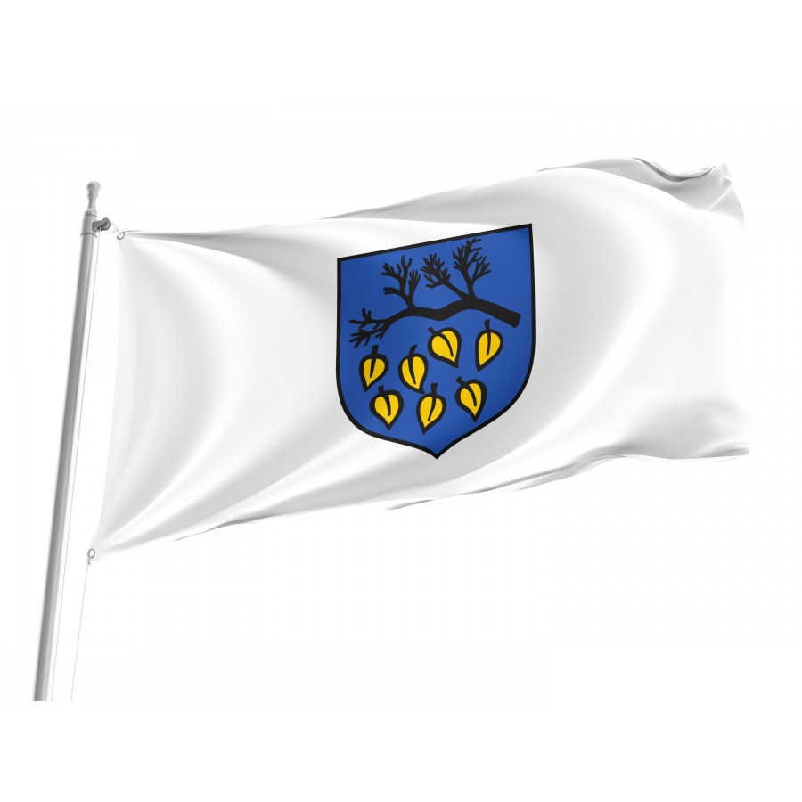 Laziska Gorne Historical Flag, Patriotic Flags, Unique Design Print, Flags For Indoor & Outdoor Use - High Quality Poland for Indoor and Outdoor Use