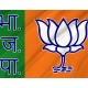 Bharatiya Janata Party BJP Flag for Indoor & Outdoor Use - Imagine 2