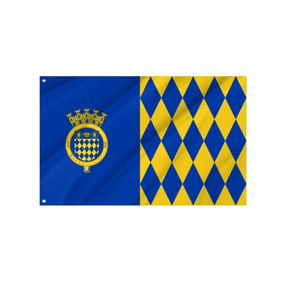 Flag Of Arecibo, Puerto Rico, Patriotic Flags, Unique Design Print, Flags For Indoor & Outdoor Use - High Quality Puerto Rico for Indoor and Outdoor Use