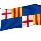 Flag of Barceloneta, Puerto Rico, Patriotic Flags, Unique Design Print, Flags for Indoor & Outdoor Use - Imagine 1