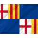 Flag of Barceloneta, Puerto Rico, Patriotic Flags, Unique Design Print, Flags for Indoor & Outdoor Use - Imagine 2