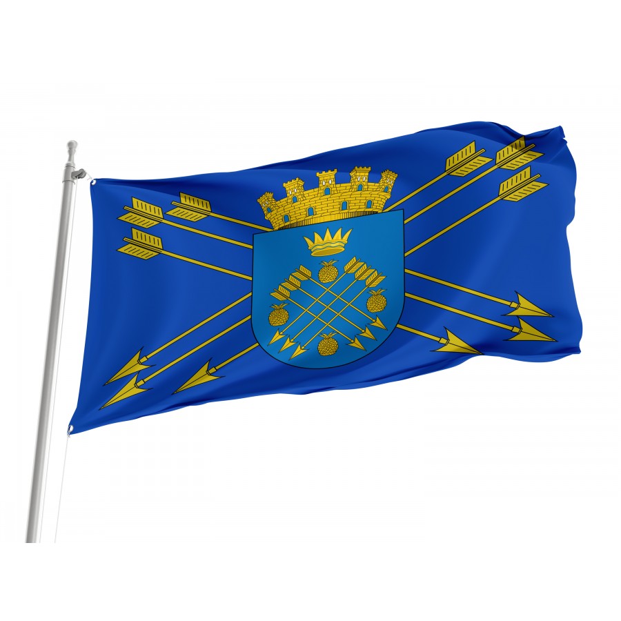 Flag Of Caguas, Puerto Rico, Patriotic Flags, Unique Design Print, Flags For Indoor & Outdoor Use - High Quality Puerto Rico for Indoor and Outdoor Use