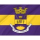 Flag of Canóvanas, Puerto Rico, Patriotic Flags, Unique Design Print, Flags for Indoor & Outdoor Use - Imagine 2