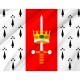 Flag of Carolina, Puerto Rico, Patriotic Flags, Unique Design Print, Flags for Indoor & Outdoor Use - Imagine 2