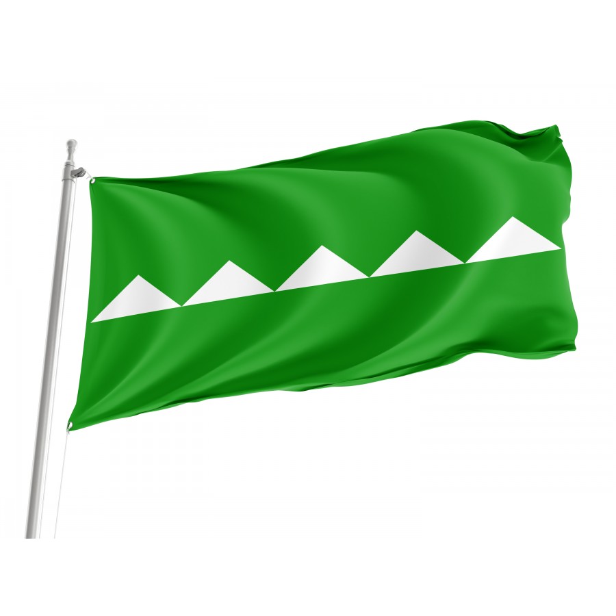 Flag Of Salinas, Puerto Rico, Patriotic Flags, Unique Design Print, Flags For Indoor & Outdoor Use - High Quality Puerto Rico for Indoor and Outdoor Use