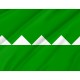 Flag of Salinas, Puerto Rico, Patriotic Flags, Unique Design Print, Flags for Indoor & Outdoor Use - Imagine 2