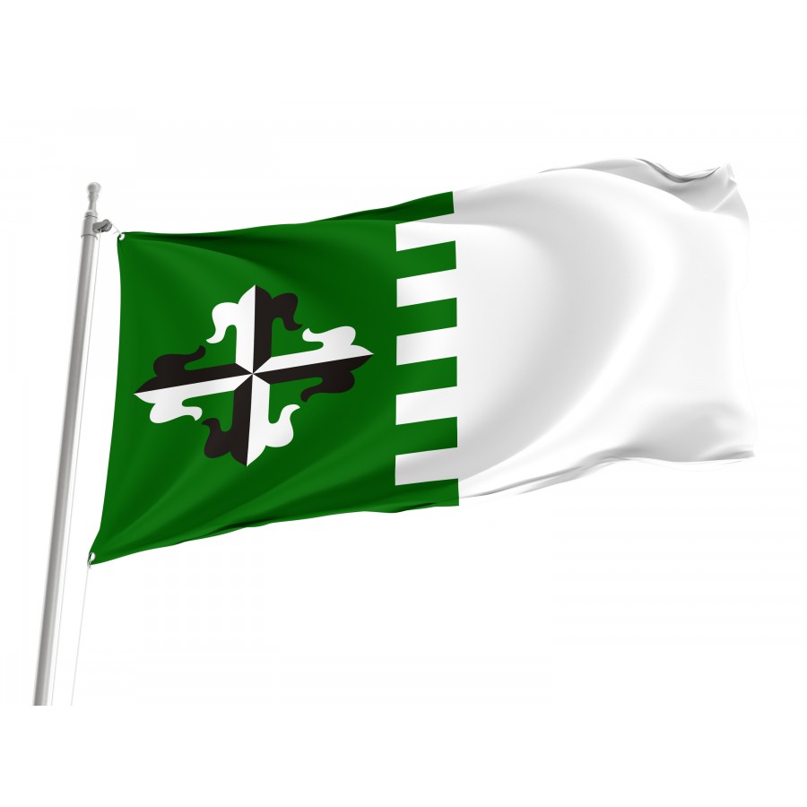 Flag Of Guaynabo, Puerto Rico, Patriotic Flags, Unique Design Print, Flags For Indoor & Outdoor Use - High Quality Puerto Rico for Indoor and Outdoor Use