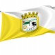 Flag of Juana Díaz, Puerto Rico, Patriotic Flags, Unique Design Print, Flags for Indoor & Outdoor Use - Imagine 1