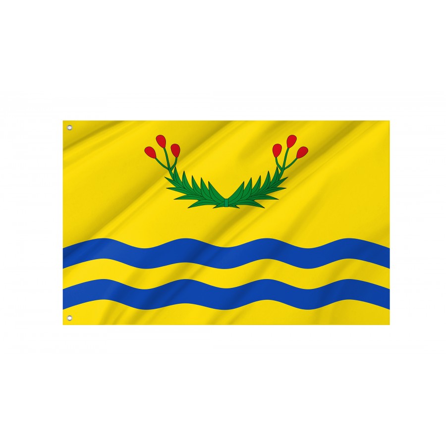 Flag Of Juncos, Puerto Rico, Patriotic Flags, Unique Design Print, Flags For Indoor & Outdoor Use - High Quality Puerto Rico for Indoor and Outdoor Use
