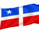 Flag of Lares, Puerto Rico, Patriotic Flags, Unique Design Print, Flags for Indoor & Outdoor Use - Imagine 1