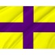 Flag of Peñuelas, Puerto Rico, Patriotic Flags, Unique Design Print, Flags for Indoor & Outdoor Use - Imagine 2