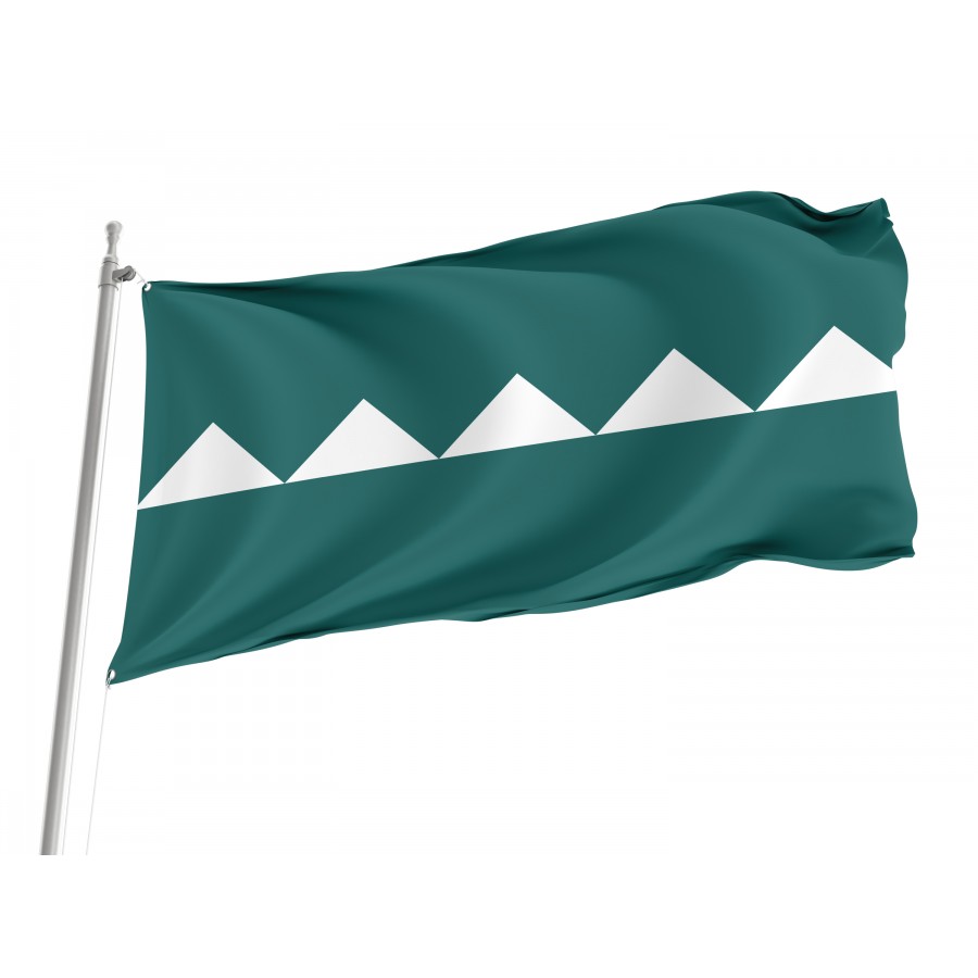Flag Of Salinas, Puerto Rico, Patriotic Flags, Unique Design Print, Flags For Indoor & Outdoor Use - High Quality Puerto Rico for Indoor and Outdoor Use