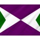 Flag of Yabucoa, Puerto Rico, Patriotic Flags, Unique Design Print, Flags for Indoor & Outdoor Use - Imagine 2