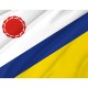 Flag of Elista (Kalmykia), Patriotic Flags, Unique Design Print, Flags for Indoor & Outdoor Use - Imagine 2