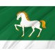 Flag of Abzelilovsky Rayon, Patriotic Flags, Unique Design Print, Flags for Indoor & Outdoor Use - Imagine 2