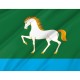 Flag of Abzelilovsky, Patriotic Flags, Unique Design Print, Flags for Indoor & Outdoor Use - Imagine 2