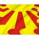 Flag of Alexandrovskoe Rural Settlement, Patriotic Flags, Unique Design Print, Flags for Indoor & Outdoor Use - Imagine 2