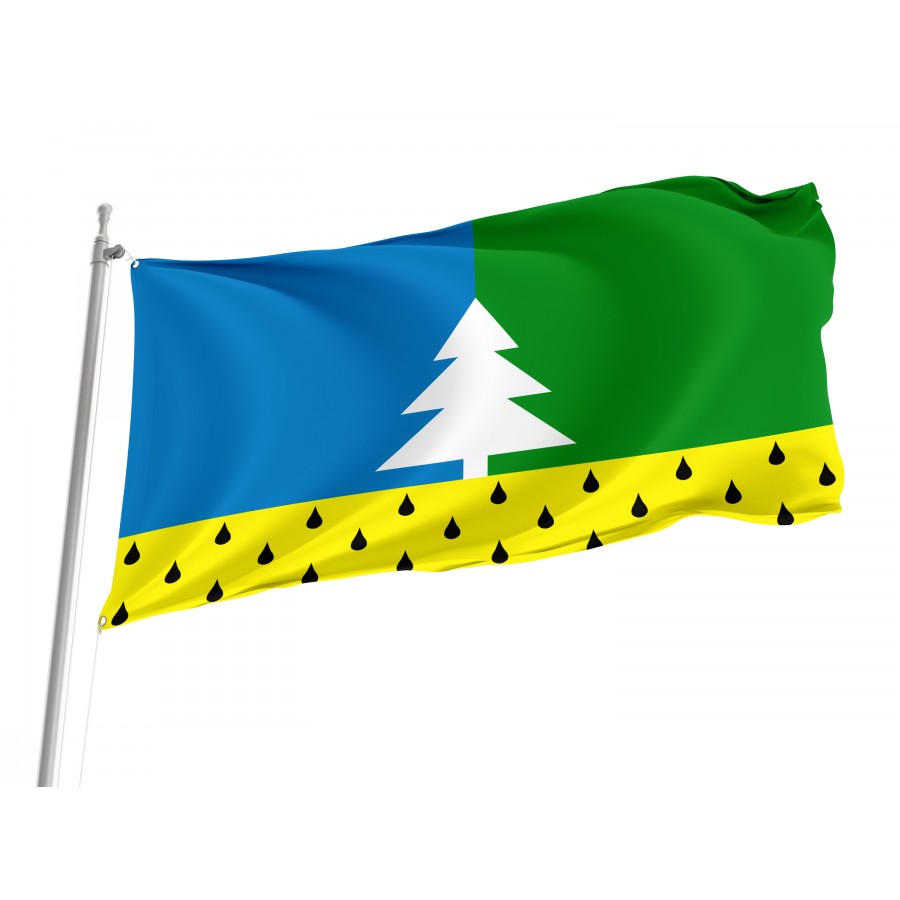 Flag Of Alyabevsky, Patriotic Flags, Unique Design Print, Flags For Indoor & Outdoor Use - High Quality Russia for Indoor and Outdoor Use