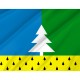 Flag of Alyabevsky, Patriotic Flags, Unique Design Print, Flags for Indoor & Outdoor Use - Imagine 2