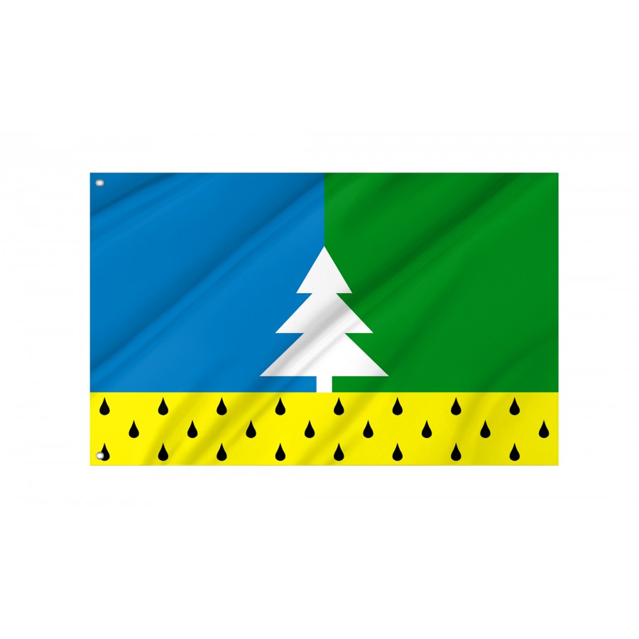 Flag Of Alyabevsky, Patriotic Flags, Unique Design Print, Flags For Indoor & Outdoor Use - High Quality Russia for Indoor and Outdoor Use