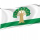 Flag of Arkhangelsky, Patriotic Flags, Unique Design Print, Flags for Indoor & Outdoor Use - Imagine 1