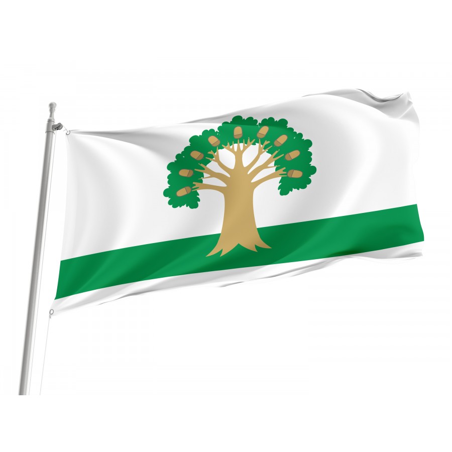 Flag Of Arkhangelsky, Patriotic Flags, Unique Design Print, Flags For Indoor & Outdoor Use - High Quality Russia for Indoor and Outdoor Use