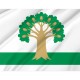 Flag of Arkhangelsky, Patriotic Flags, Unique Design Print, Flags for Indoor & Outdoor Use - Imagine 2