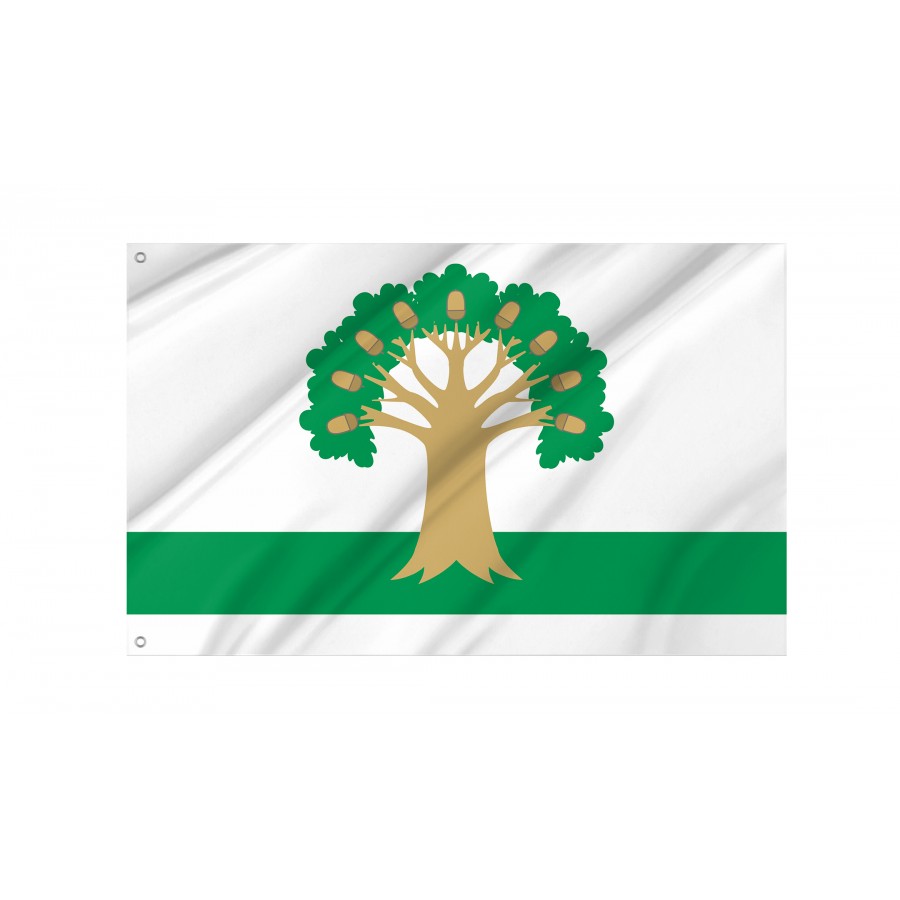 Flag Of Arkhangelsky, Patriotic Flags, Unique Design Print, Flags For Indoor & Outdoor Use - High Quality Russia for Indoor and Outdoor Use
