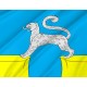 Flag of Barsovo, Patriotic Flags, Unique Design Print, Flags for Indoor & Outdoor Use - Imagine 2