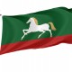 Flag of Belebeevsky, Patriotic Flags, Unique Design Print, Flags for Indoor & Outdoor Use - Imagine 1