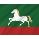 Flag of Belebeevsky, Patriotic Flags, Unique Design Print, Flags for Indoor & Outdoor Use - Imagine 2