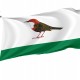 Flag of Birsk, Patriotic Flags, Unique Design Print, Flags for Indoor & Outdoor Use - Imagine 1