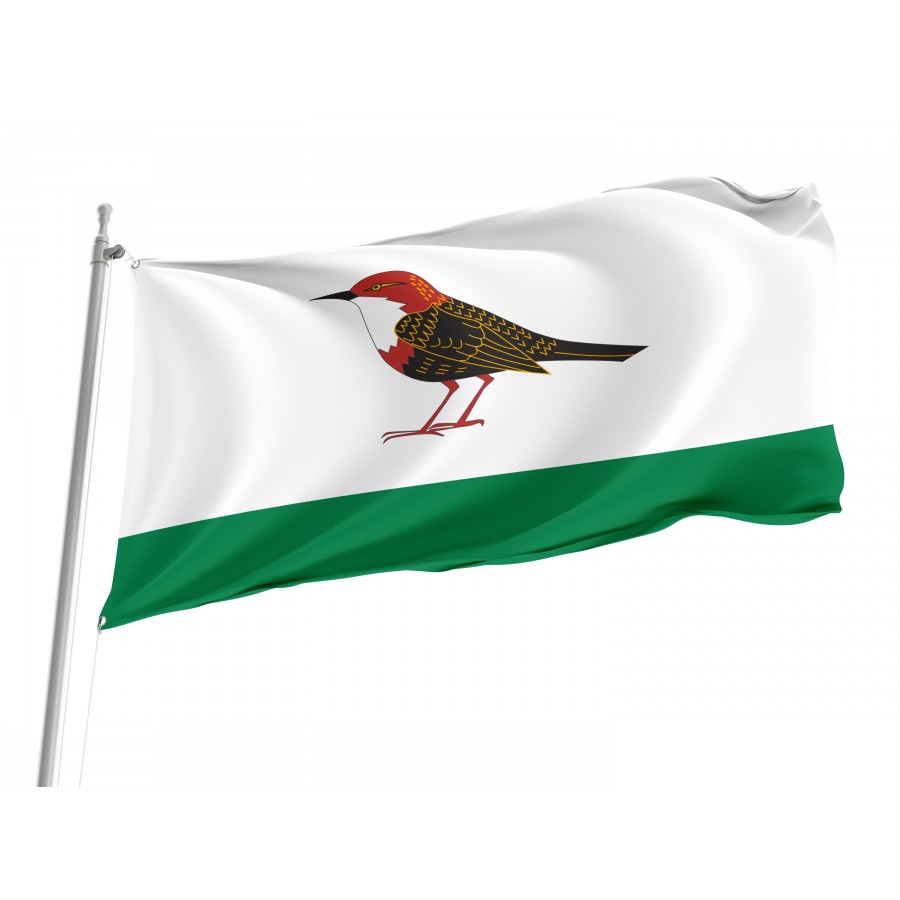 Flag Of Birsk, Patriotic Flags, Unique Design Print, Flags For Indoor & Outdoor Use - High Quality Russia for Indoor and Outdoor Use