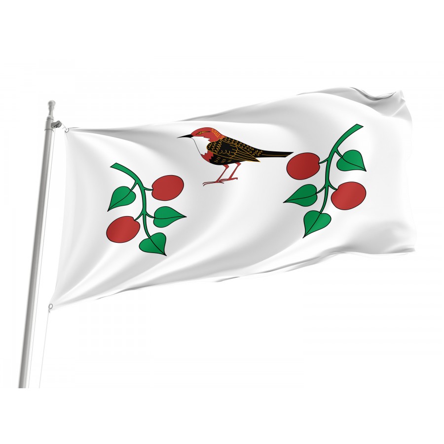 Flag Of Birsky Rayon, Patriotic Flags, Unique Design Print, Flags For Indoor & Outdoor Use - High Quality Russia for Indoor and Outdoor Use