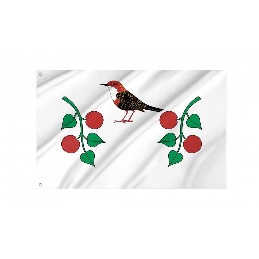 Flag Of Birsky Rayon, Patriotic Flags, Unique Design Print, Flags For Indoor & Outdoor Use - High Quality Russia for Indoor and Outdoor Use