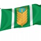 Flag of Blagovarsky Rayon, Patriotic Flags, Unique Design Print, Flags for Indoor & Outdoor Use - Imagine 1