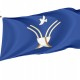 Flag of Chekmagushevsky rayon, Patriotic Flags, Unique Design Print, Flags for Indoor & Outdoor Use - Imagine 1