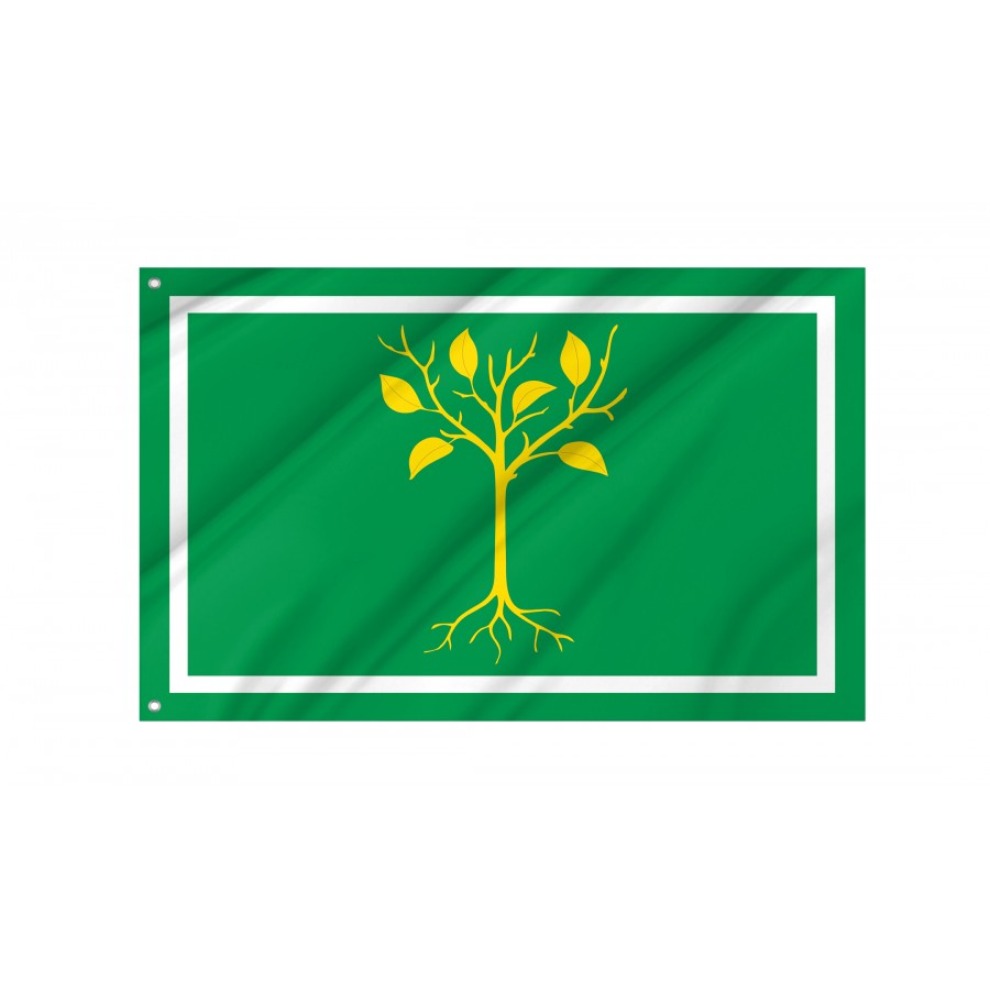 Flag Of Chertanovo Tsentralnoye, Patriotic Flags, Unique Design Print, Flags For Indoor & Outdoor Use - High Quality Russia for Indoor and Outdoor Use