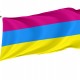 Flag of Dinskoy Rayon, Patriotic Flags, Unique Design Print, Flags for Indoor & Outdoor Use - Imagine 1