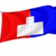 Flag of Finlyandsky okrug, Patriotic Flags, Unique Design Print, Flags for Indoor & Outdoor Use - Imagine 1