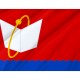 Flag of Fryazino, Patriotic Flags, Unique Design Print, Flags for Indoor & Outdoor Use - Imagine 2